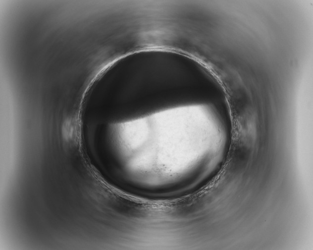 X0000095671319200802051222