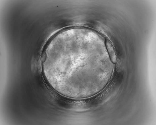 X0000095671320200802051222