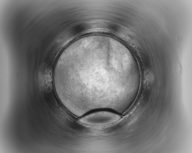 X0000095671321200802051222