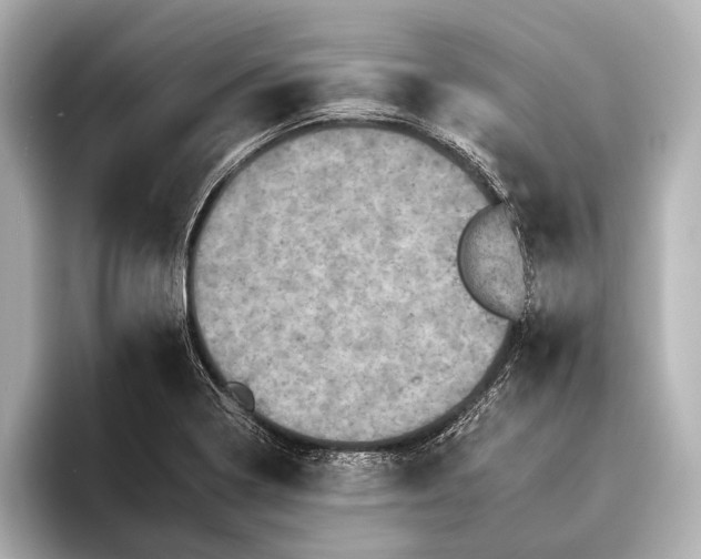 X0000095671322200802051222