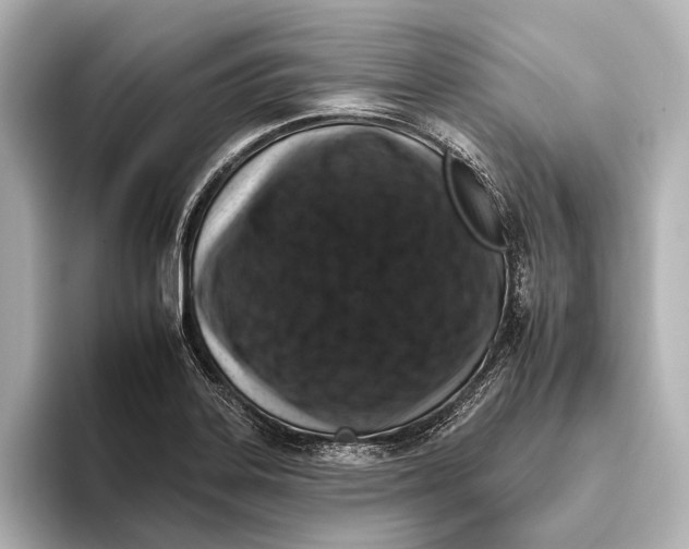 X0000095671323200802051222