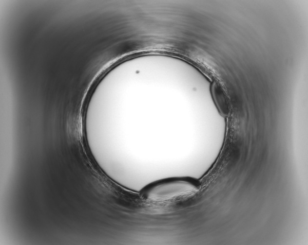 X0000095671324200802051222