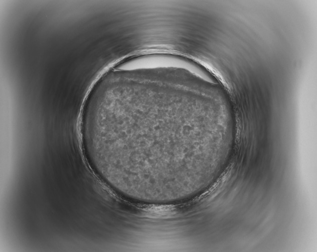 X0000095671325200802051222