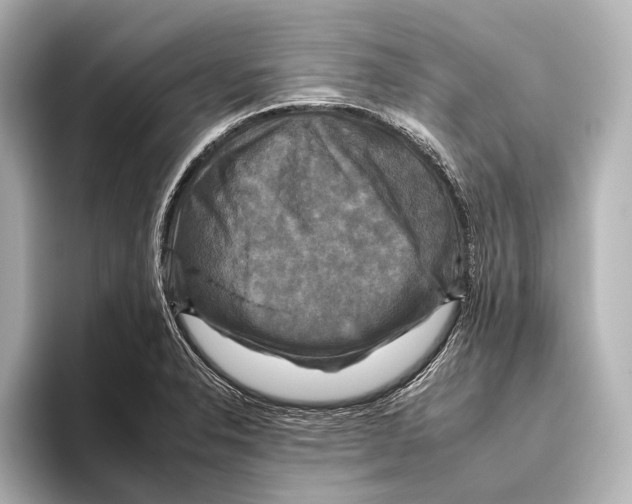 X0000095671326200802051222