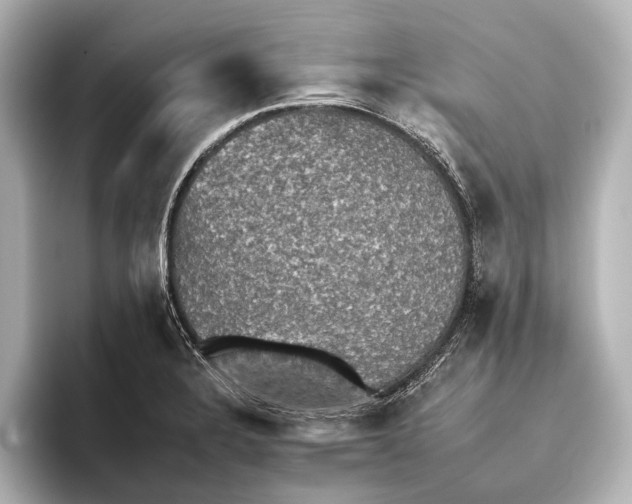 X0000095671328200802051222