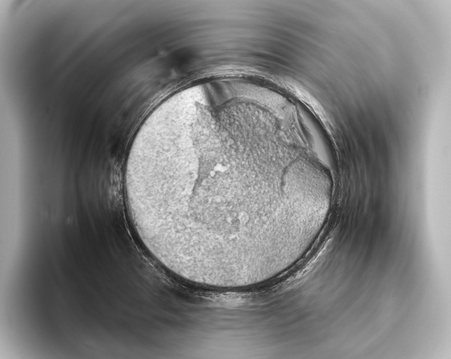 X0000095671329200802051222