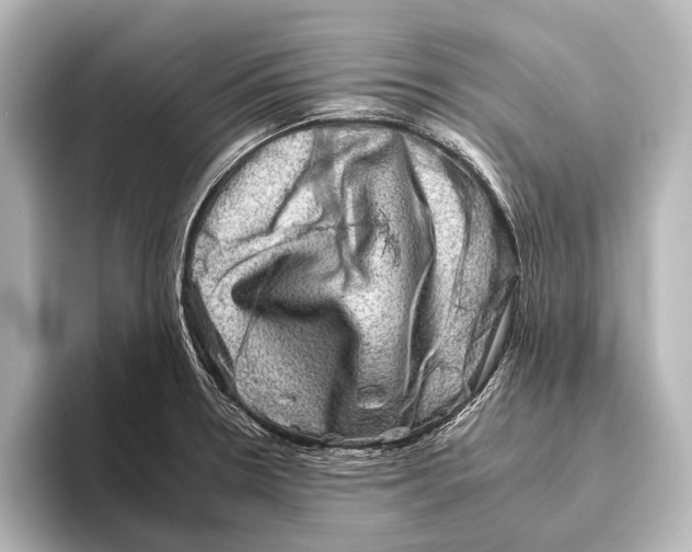 X0000095671330200802051222