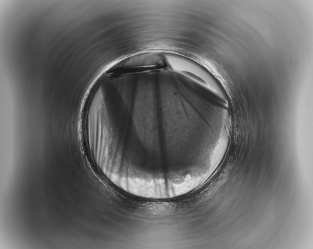 X0000095671331200802051222