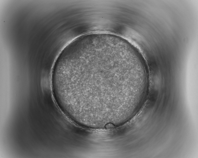 X0000095671333200802051222