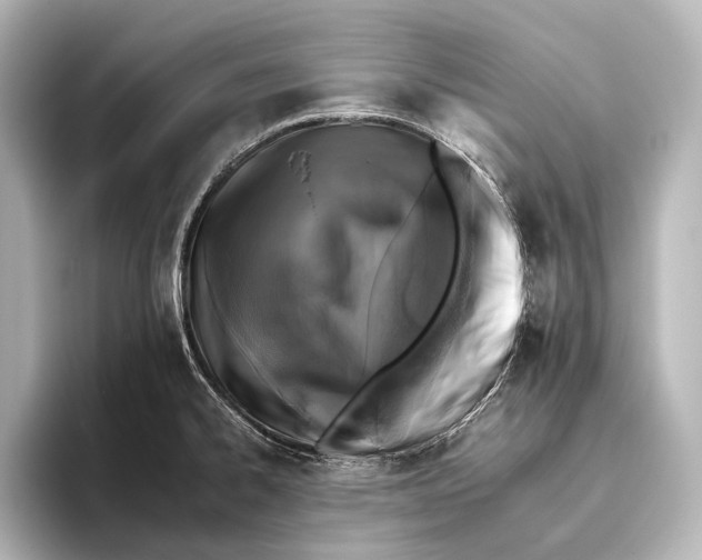 X0000095671334200802051222