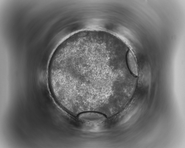 X0000095671335200802051222