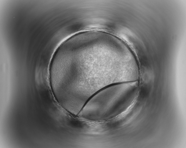 X0000095671336200802051222