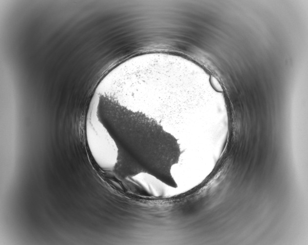 X0000095671337200802051222