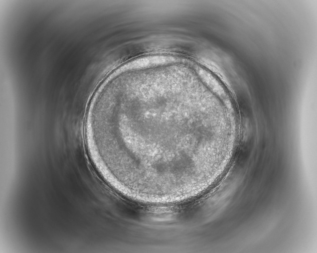 X0000095671338200802051222