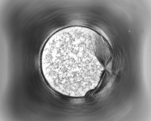 X0000095671339200802051222