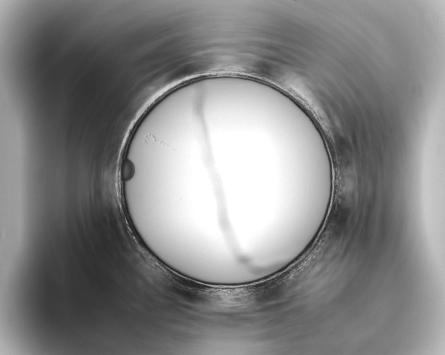 X0000095671340200802051222