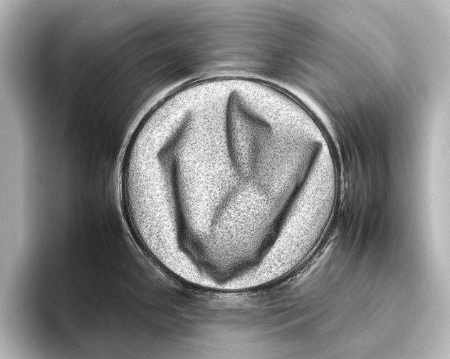 X0000095671341200802051222