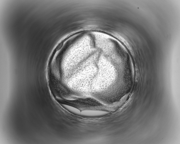 X0000095671342200802051222