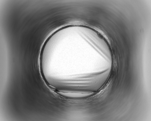 X0000095671343200802051222