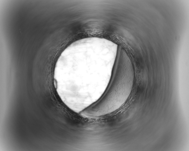 X0000095671345200802051221