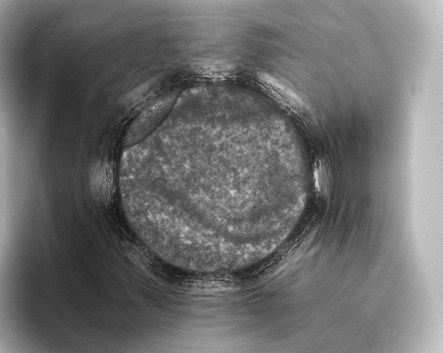 X0000095671347200802051221