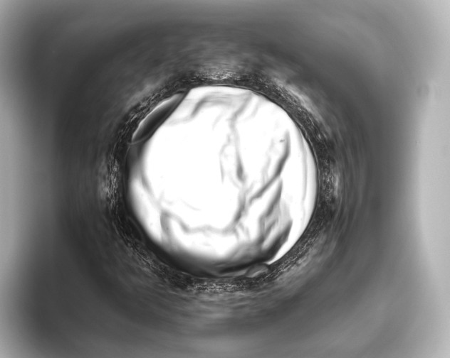 X0000095671349200802051221