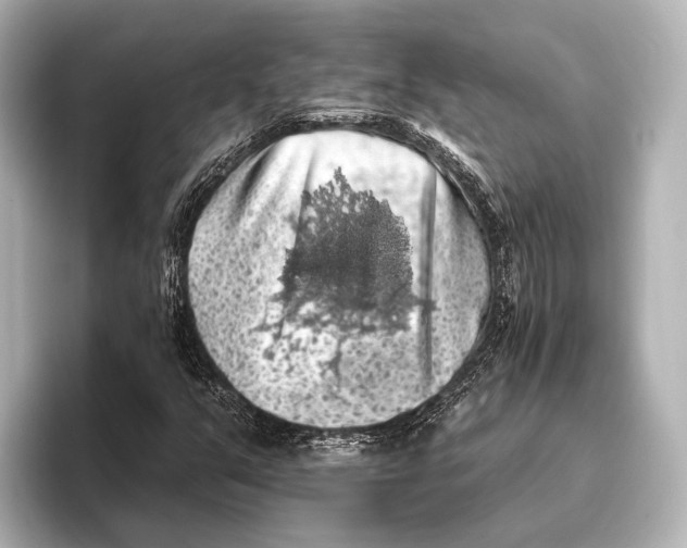 X0000095671351200802051221