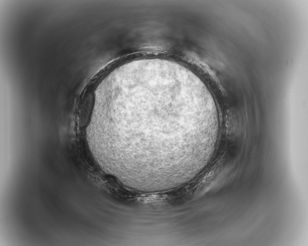 X0000095671352200802051221