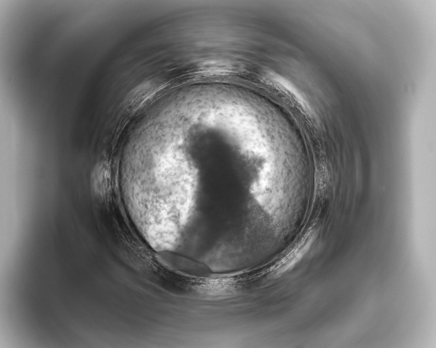 X0000095671353200802051221