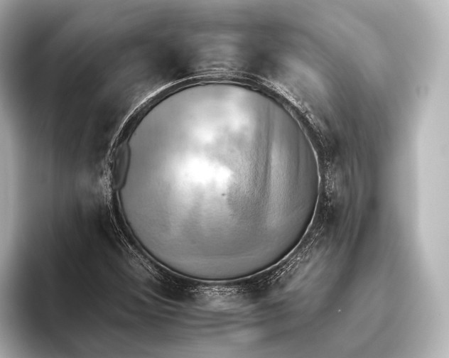 X0000095671356200802051221