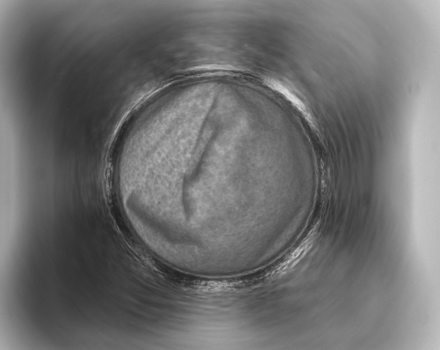 X0000095671357200802051221