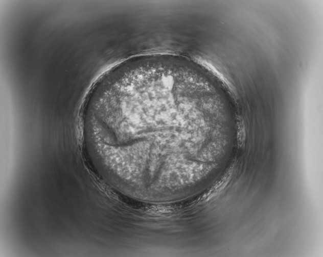 X0000095671358200802051221