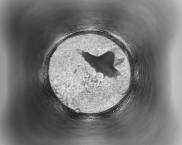 X0000095671359200802051221