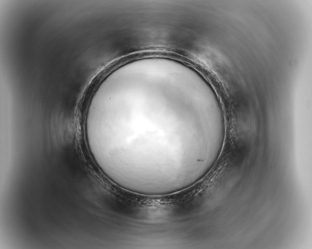 X0000095671360200802051221