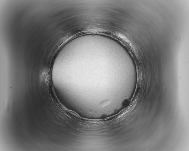 X0000095671361200802051221