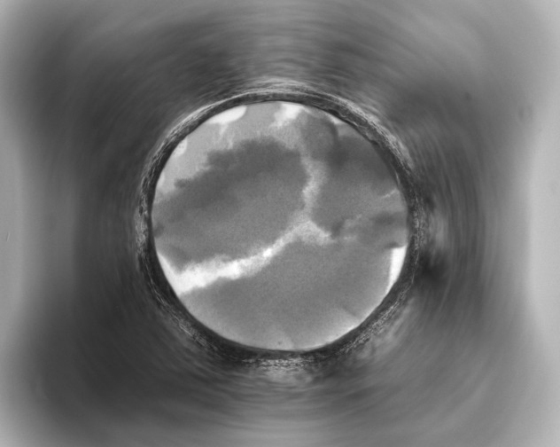 X0000095671363200802051221