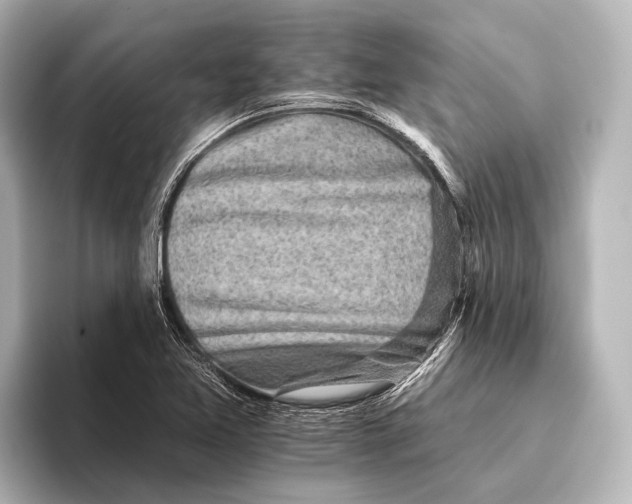 X0000095671365200802051221