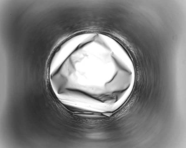 X0000095671366200802051221