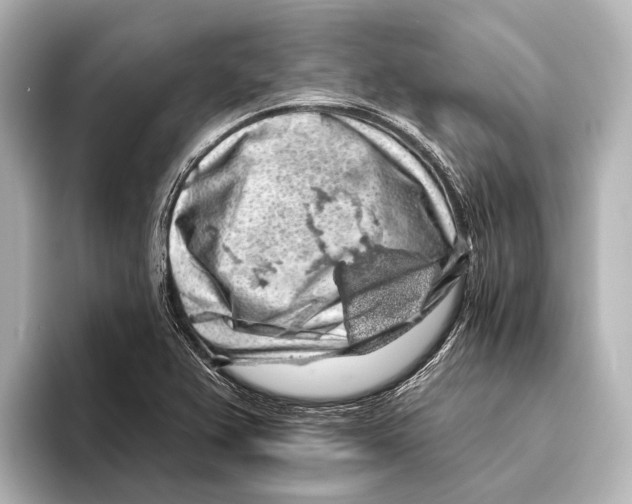 X0000095671367200802051221