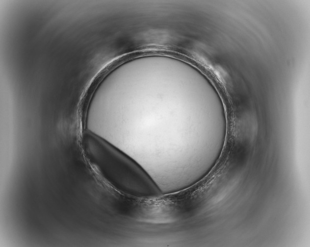 X0000095671368200802051221