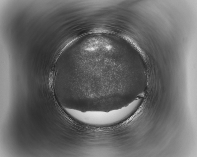 X0000095671369200802051221