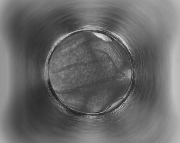 X0000095671371200802051221