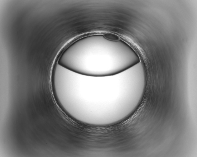 X0000095671372200802051221