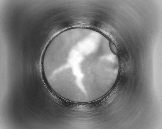 X0000095671375200802051221