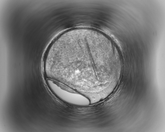 X0000095671376200802051221