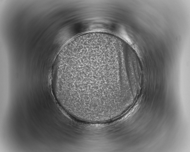 X0000095671377200802051221