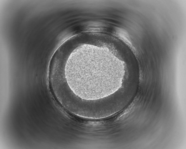 X0000095671378200802051221