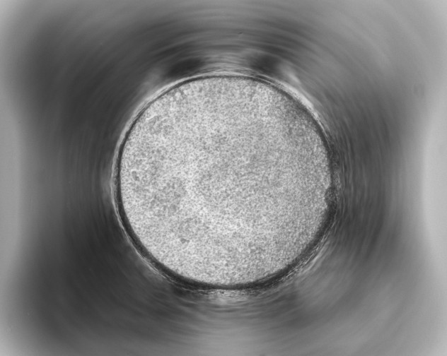 X0000095671379200802051221