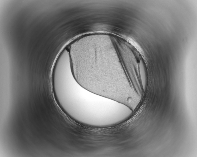 X0000095671380200802051221