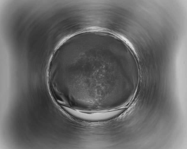 X0000095671381200802051221